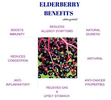 Load image into Gallery viewer, Elderberry Business Package