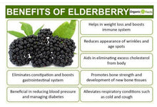 Load image into Gallery viewer, Elderberry Business Package