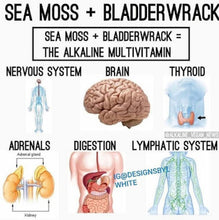 Load image into Gallery viewer, PowerHouse Sea Moss Gel