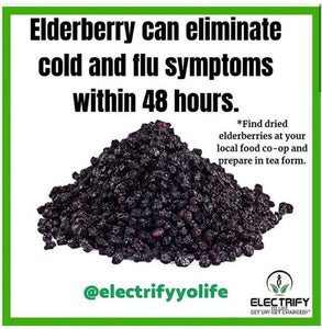 Elderberry Business Package