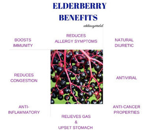 Elderberry Business Package