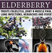 Load image into Gallery viewer, Elderberry Business Package
